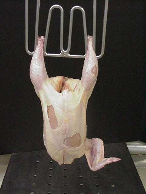 to-cook : Practice Exposed Flesh on Leg & Breast