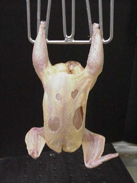 to-cook : Practice Exposed Flesh on Breast