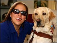 SPOTLIGHT ON PORTLAND ORGANIZATIONS FOR DOGS Guide Dogs for the Blind (Boring, OR) There s a pretty cool organization right outside of Portland where dogs are trained to help people.