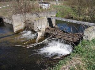 Flowing Wells Dam Removal: Kalkaska, MI Historical herp data from various sources