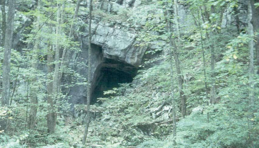 section head CAVES/KARST SYSTEMS John Jensen These systems are most commonly found in areas underlain by limestone of the Cumberlands/Southern Ridge and Valley, Ozark and Ouachita Mountains, and some