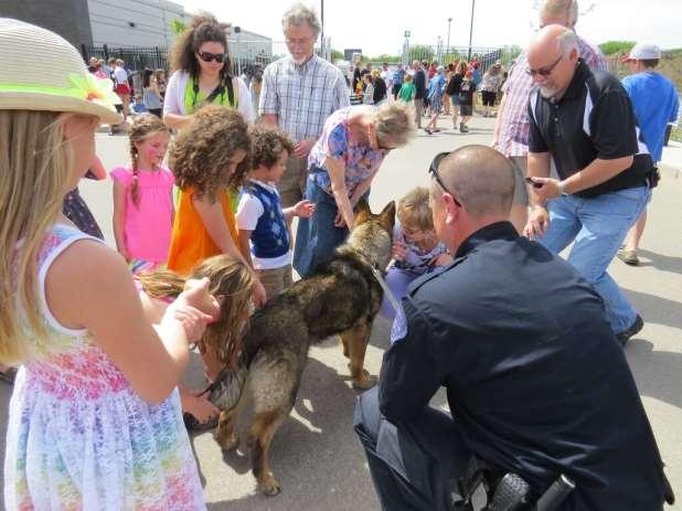 Dogs in law enforcement o o o They are great ambassadors for law
