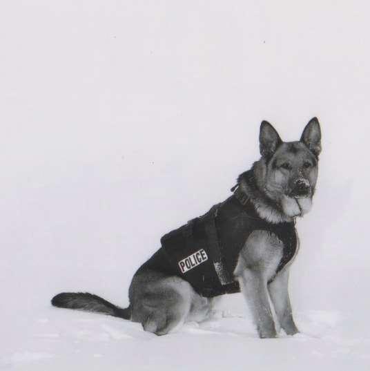 Stryker K-9 Care Fund Named in honour of Stryker Saskatoon Police Service Canine Unit: 1998 to