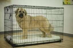 own. Their crate becomes and important safety and security zone for the rest of their lives CRATES 18 Pets up to 10 lbs 24 Pets up to 25