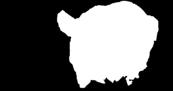 Pig producers ~ 1,400 North Carolina 400 producers ~ 840,000 ~90% of