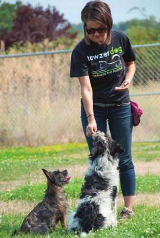 Dogs for Better Lives D OGS FOR BETTER LIVES SEEKS Certified Assistance Dog Trainers (those certified to train Hearing Dogs and/or Service Dogs) to fill three open positions.