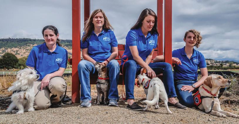 with. We provide the opportunities for you to train Hearing Dogs and other Assistance Dogs (including Program and Autism Assistance Dogs) and offer attractive pay, an excellent benefits package,