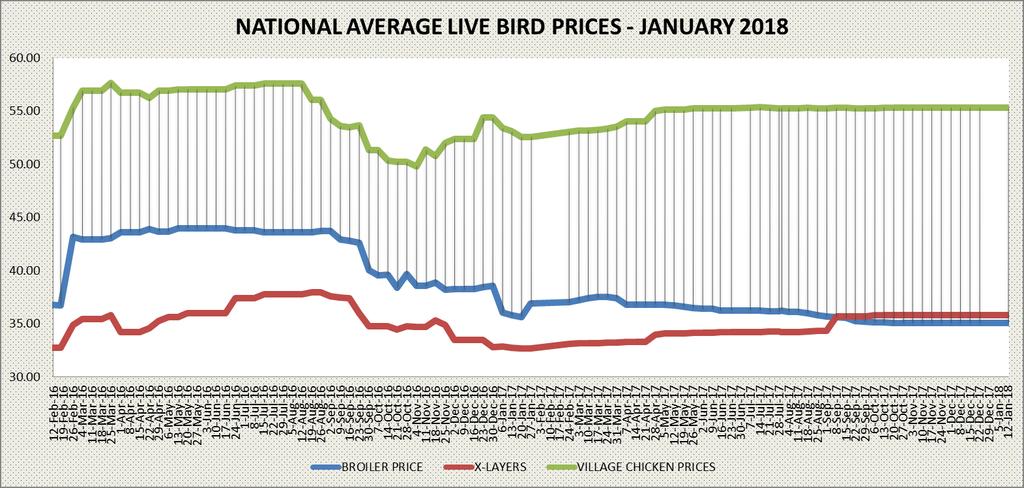 The national average prices for live chickens in the open market remained relatively stable during the