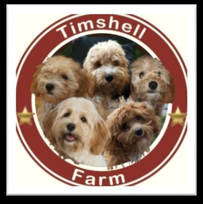 2018 Calendar of Litters (Revised 5-1-18) * CavaPooChons & Petite Goldendoodles * * CavaPoo s and Cavachons * List of Litters with Puppy Go-Home Dates Puppies Here Now - Open Spots on the Waitlists