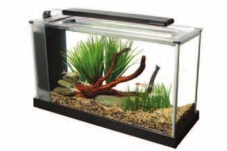 on 19L model only Fluval Spec is the