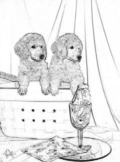 The Columbia Poodle Club invites you to join us in A POODLE PICNIC!