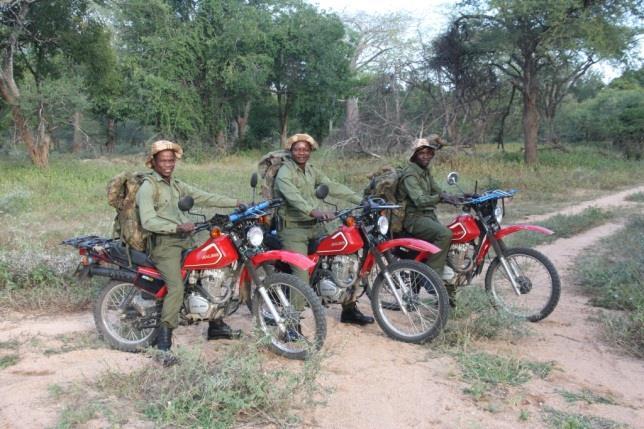 AWCF s Scouts Misheck Matari, Rueben Boté and Cain Kodzevhu cover vast distances on their motorbikes and significantly support site-based anti-poaching operations.