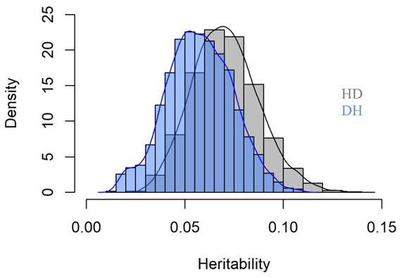 posterior distributions of heritabilities (Figure 8) also indicate that the trait DH has similar size of heritability as the trait HD and hence, could be considered a new trait for selection.
