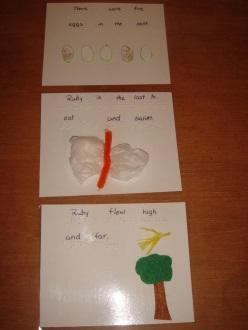 Sequence Cards: (Laminated, brailled index cards with tactile illustrations) Introduce the sequence cards after reading the story Students place three tactile/brailled sequence cards in order of the