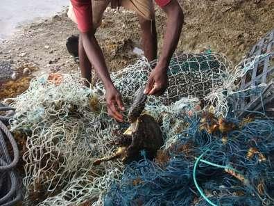 Discuss implementation of bycatch monitoring programmes Improve understanding of the impact of sea turtle bycatch Sea Sense Annual Report: During a series of group discussions, workshop participants