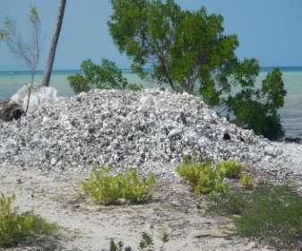 Coral mining for lime production for use in the construction industry occurs extensively, with much of the lime transported for sale elsewhere in Tanzania, amid a lack of regulation by District