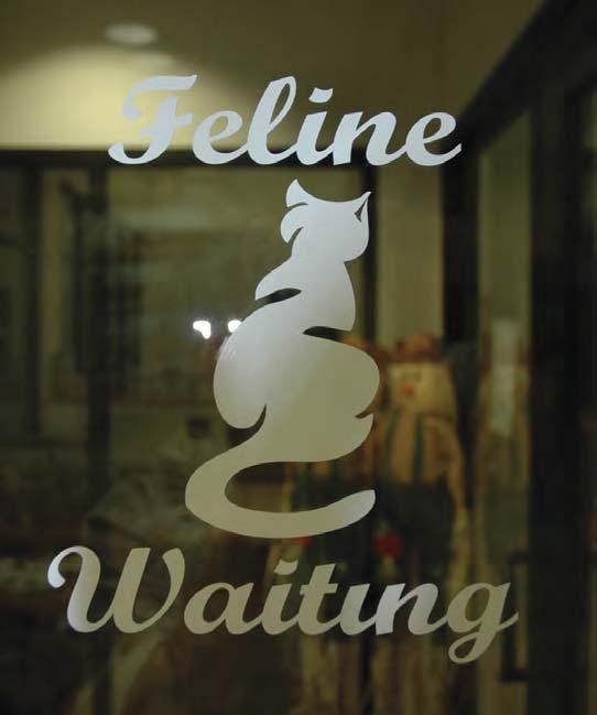 Lobby and Waiting In cases where full elimination of waiting is not possible, Criteria 5 and 6 guide the development of Fear-Free lobbies and indoor waiting areas.