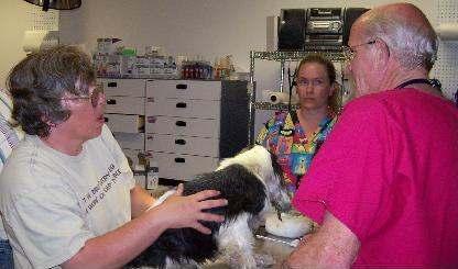 We thank Downtown Animal Care Center for all their after hours help in assessing the health of