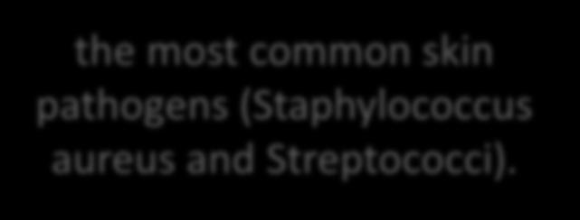 (Staphylococcus aureus and
