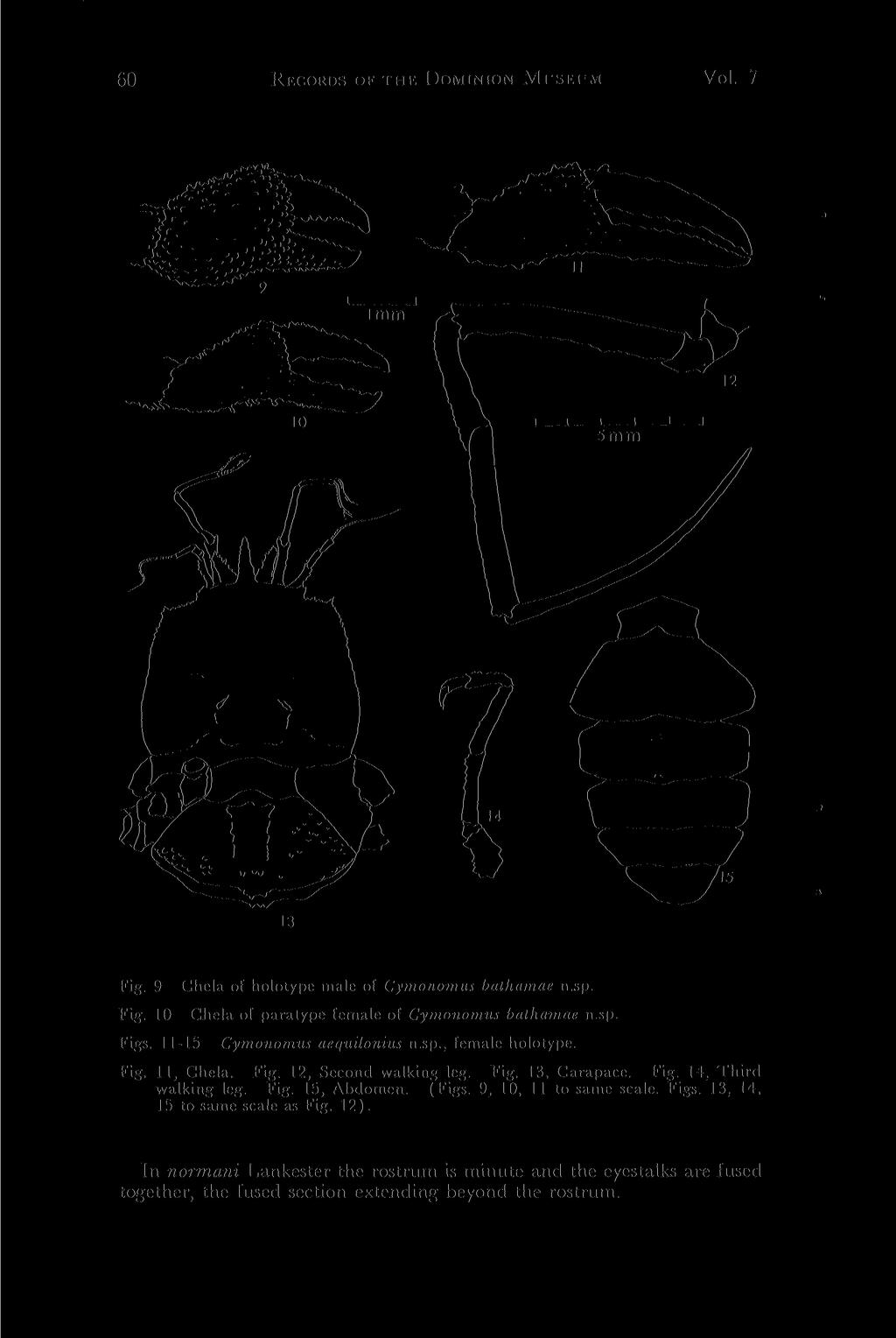 60 RECORDS OF THE DOMINION MUSEUM Vol. 7 Fig. 9 Chela of holotype male of Cynnonomus batharnae n.sp. Fig. 10 Chela of paratype female of Cymonomus batharnae n.sp. Figs. 11-15 Cymonomus aequilonius n.