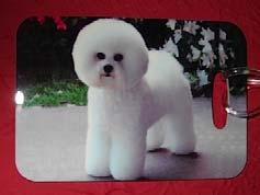 Great for Travelers Luggage Tag These luggage tags with the beautiful Bichon can be used in many ways.