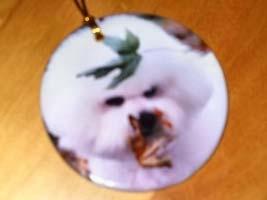 Home Decor Christmas Ornament This ornament, made just for the BFCA, would make a great addition to your other Bichon