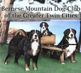 Summer 2010 Volume 7, Issue 2 Bernese Mountain Dog Club of the Greater Twin Cities The BMDCGTC was formed in 1988 to help promote the best possible breeding, training, health, and well-being of the