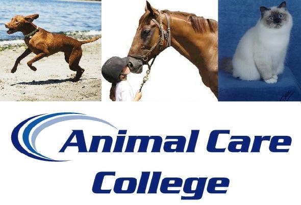 1 of 5 04/12/2011 10:08 In This Issue A new look College bookshop New Horse and Pony course Interesting and informative websites Accredited Petcare Professional Register New resource centre Caring