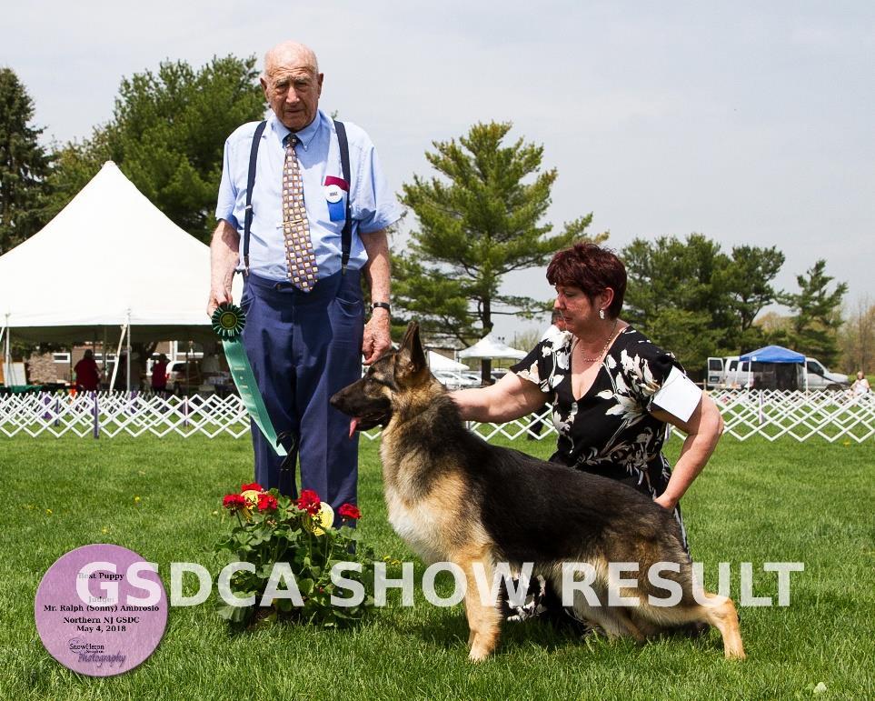 May 4, 2018 A.M. Judge: Ralph (Sonny) Ambrosio May 4, 2018 P.M. Judge: Christina Halliday GSDC of NORTHERN NEW JERSEY May 4, 2018 Point Schedule - Division 2 Effective May, 2017 1 Point 2 Points 3