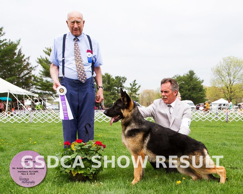 American Bred Dog 1, RWD 3: EAGLE VALLEY'S HEY GOOD LOOKIN ALKARAH, DN49688001, 04/10/2017. Breeder's: Dennis Mulligan & Sandy Dancosse.