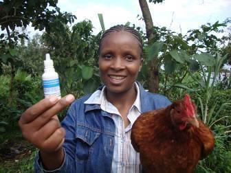 Promotion Update: April 2011 Image: Aliapenda, a FIPS-Africa VBA has been saving money from chicken vaccination to help her start a business.