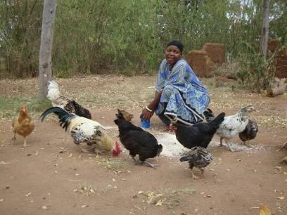 page 10 of 15 12. Restina Liziwani; Mkalama village, Machame Weruweru ward, Moshi District. Shortly before vaccination, Restina had lost 13 adult chickens and 22 chicks to the Newcastle disease.