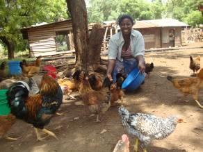 Page 11 of 15 14. Zelai Ebabwo; Kahe Sangeni Village, Moshi District Zelai woke up one morning in April 2010 and found 15 of her chickens had died of disease. She lost interest in poultry keeping.