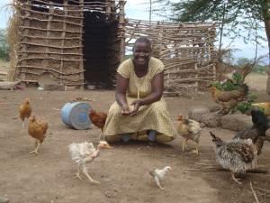 She had also lost 18 chickens to the Newcastle disease but she has not lost any birds since she started vaccination. Naomi now has 32 birds, 18 birds adult and 14 medium seized.
