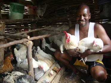 Page 14 of 15 20. Eleakim Ndendeya; Nsitoni Village, Singini Ward, Meru District Prior to vaccination, he had lost 45 chickens.