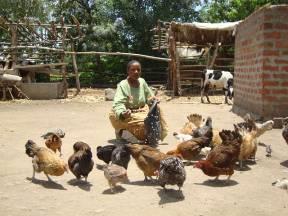 page 2 of 15 1. Eliboraya Naiman; Karangai Village, Kikwe Ward, Meru District The mother of four did not know about chicken vaccination prior to FIPS-Africa s VBA Joshua Kitumari s visit in June 2010.