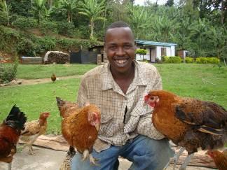 Page 8 of 15 8. Stephen Maqo; Nkomala Village, Nkoanrua ward, Meru District Stephen had no serious interest in poultry farming and was not concerned when his birds would die from Newcastle disease.