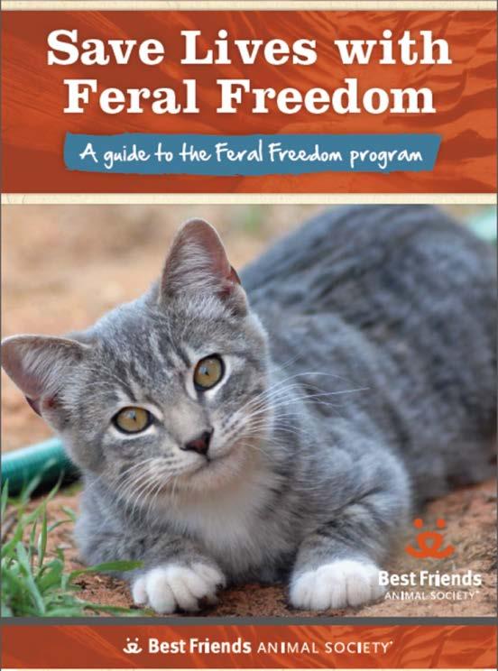 Shelter based TNR, aka Feral Freedom, aka Community Cat Program aka SNR Targets healthy cats brought in to shelter by