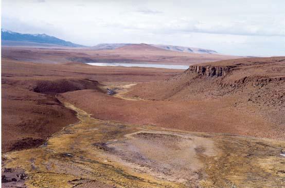 Two neighbouring rocky sites were the main places where the Andean cat was radio tracked, Khastor (where it was trapped) and Khumo (where the animal stayed the longest time); although some times we