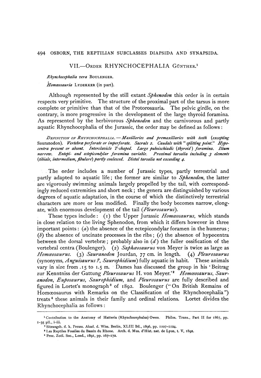 494 OSBORN, THE REPTILIAN SUBCLASSES DIAPSIDA AND SYNAPSIDA. VII.-ORDER RHYNCHOCEPHALIA GONTHER.' Rhynchocephalia vera BOULENGER. Hommeosauria LYDEKKER (in part).
