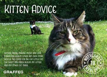 ISBN: 9781909823860 Title: Kitten Advice Notecards Photography and captions: Tom Cox Size: 120 x 160mm