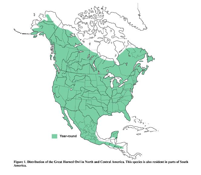 North American Distribution The great horned owl has the most extensive range,