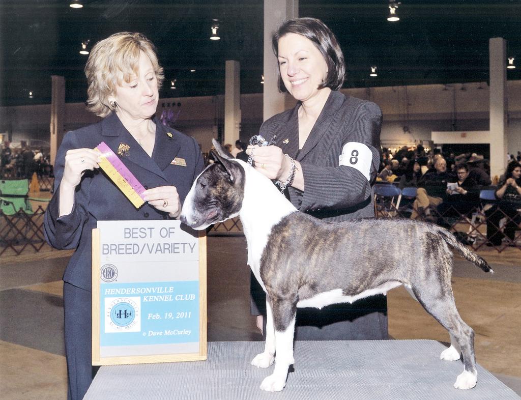 $% - Continued Beverly Krautler Menusha Mini Bull Terriers CH Menusha's What Little Girls R Made Of took BOB on Saturday at the
