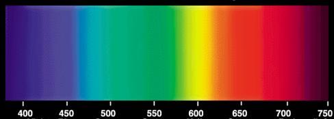 Physiology of Color Vision So, changes in the DNA sequence of an opsin gene can lead to differences in the spectral