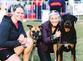 Sponsorship opportunities: Million Paws Club sponsor Wellness Zone The destination for all things dog