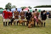 The East of England Agricultural Society organises and runs the Peterborough Royal Foxhound Show combined with the Festival of Hunting in mid July each year.