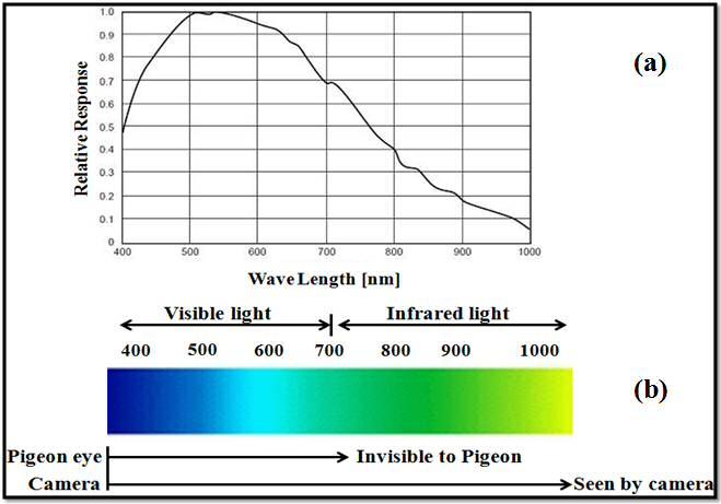 Noor Aldoumani Chapter 2 infrared range of light in spectrum has been used.