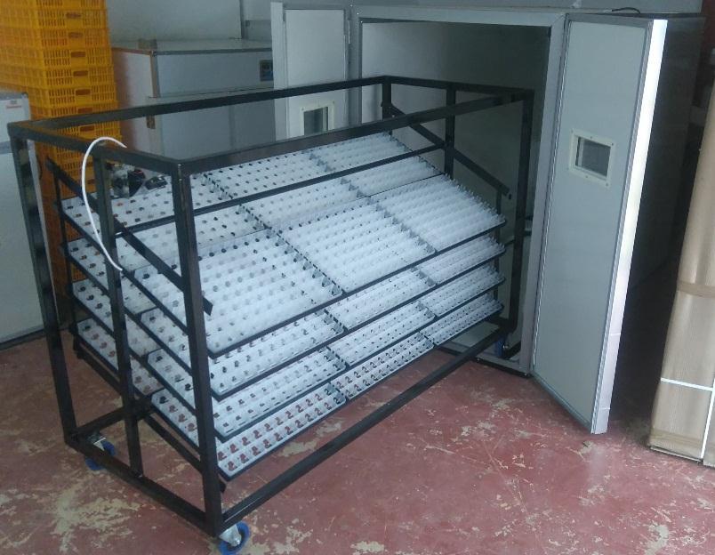 Trolley s The trolley models are most suitable for a 21-day cycle production. The eggs are set in trays on a removable rotating trolley.