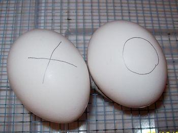 Placing the Eggs With a No.