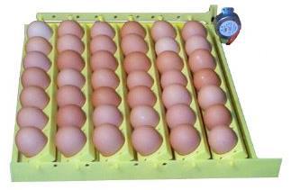 Turning Eggs Automatic Turner If you would prefer to turn the eggs automatically, you may request to rent or buy a turner The